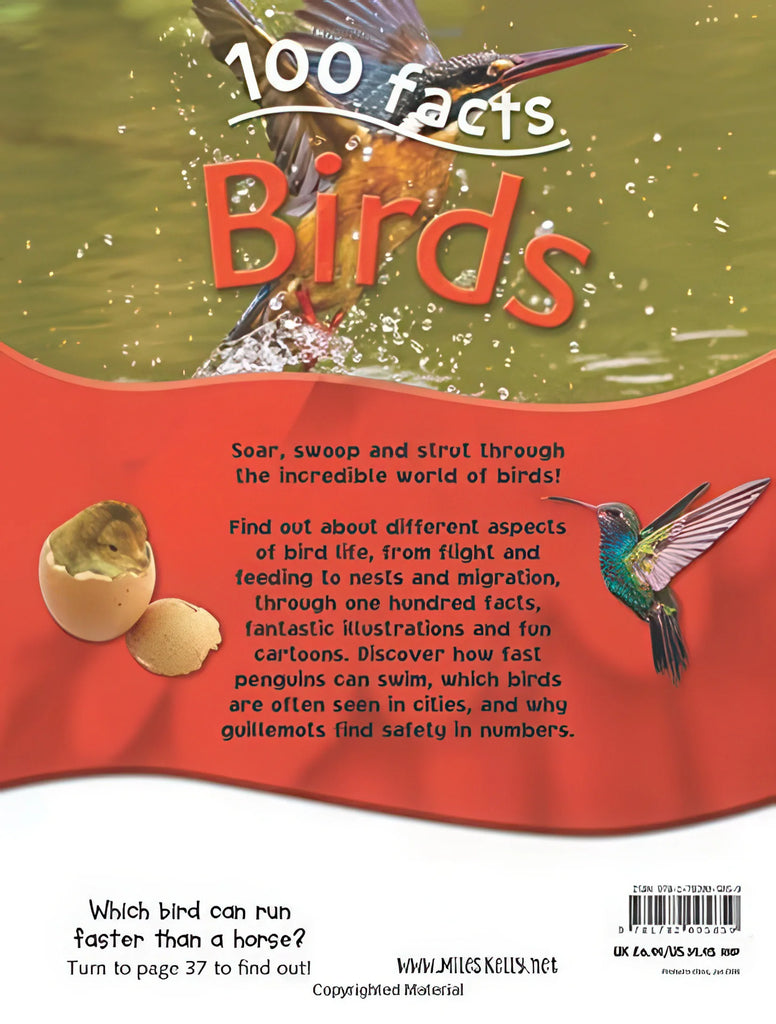 100 Facts Birds - Paperback Book - TOYBOX Toy Shop