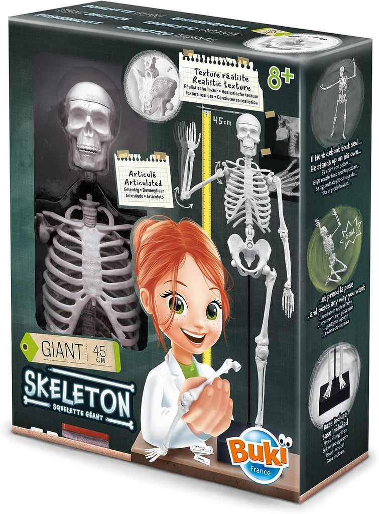 BUKI France Educational Skeleton 45cm - TOYBOX Toy Shop