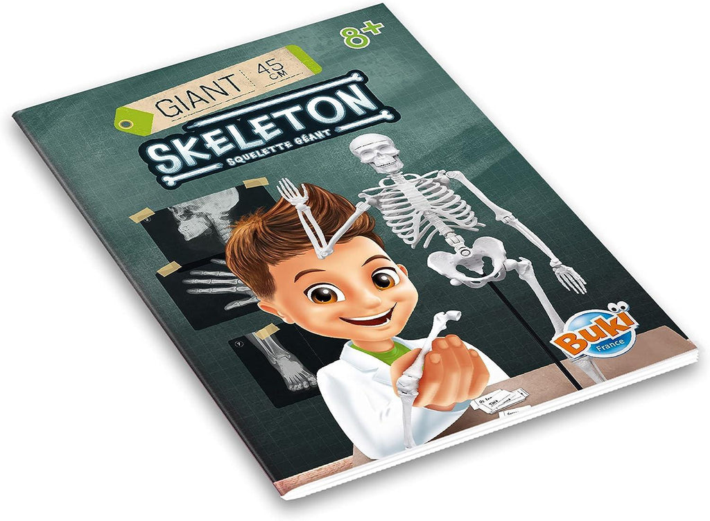 BUKI France Educational Skeleton 45cm - TOYBOX Toy Shop