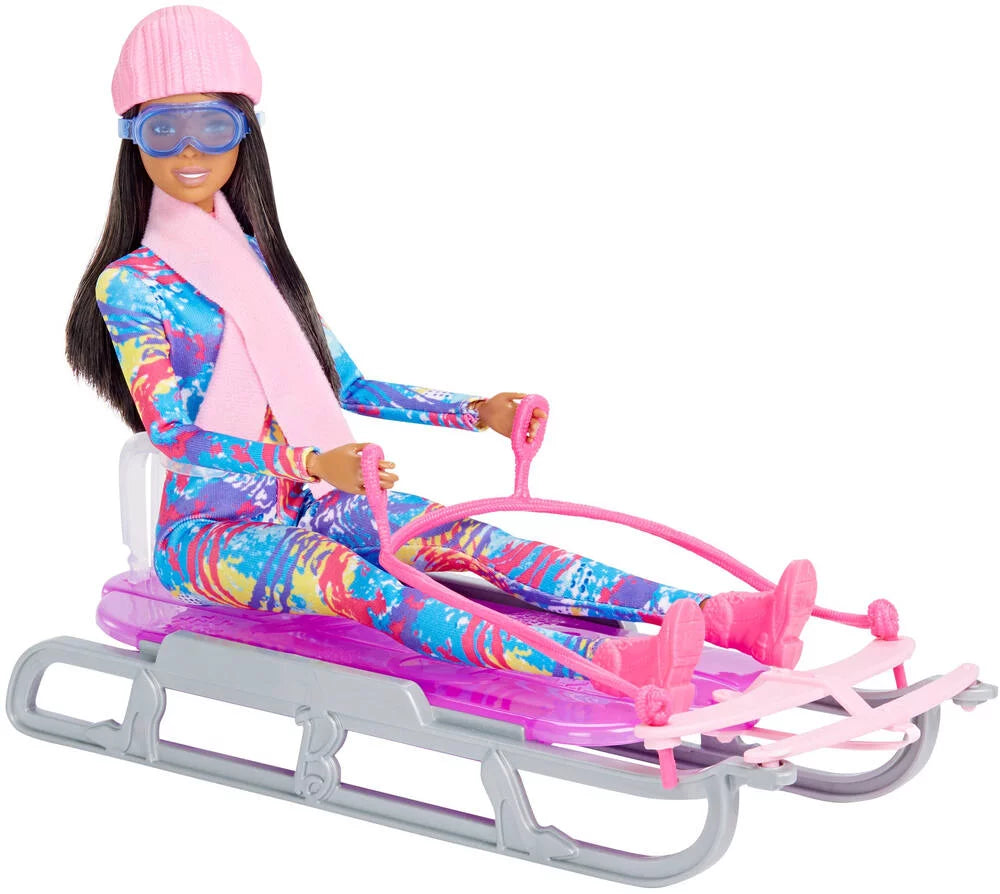 Barbie Winter Sports Sledge Doll - TOYBOX Toy Shop