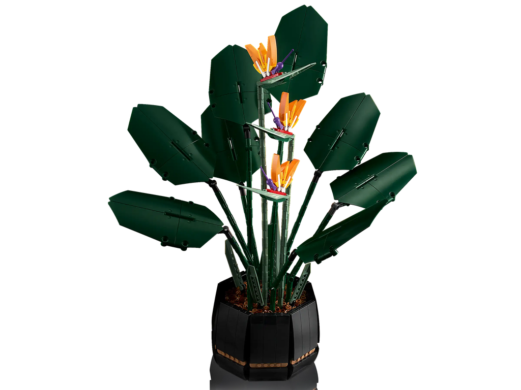 LEGO CREATOR 10289 Bird of Paradise - TOYBOX Toy Shop