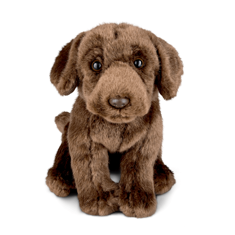 LIVING NATURE Chocolate Labrador Soft Toy 22cm - TOYBOX Toy Shop