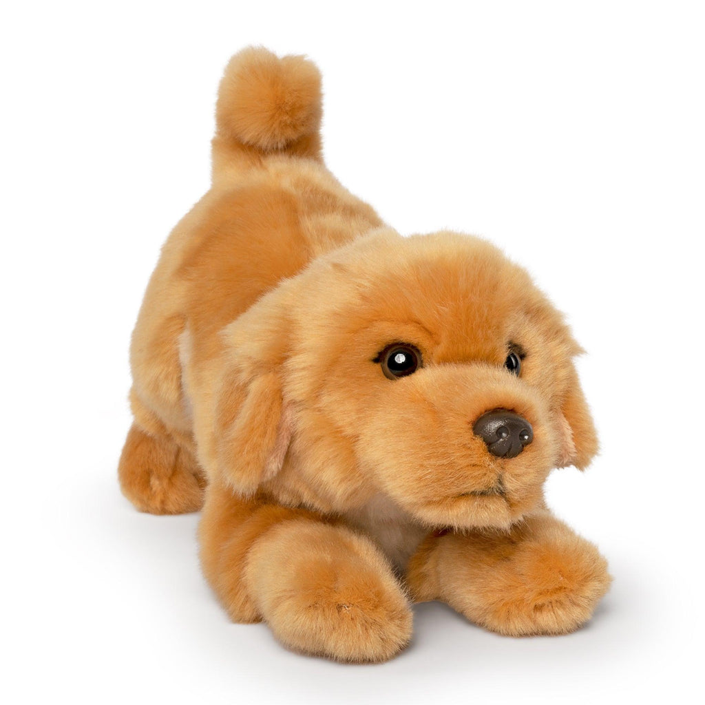 LIVING NATURE Golden Retriever Playful Pup 24cm - TOYBOX Toy Shop