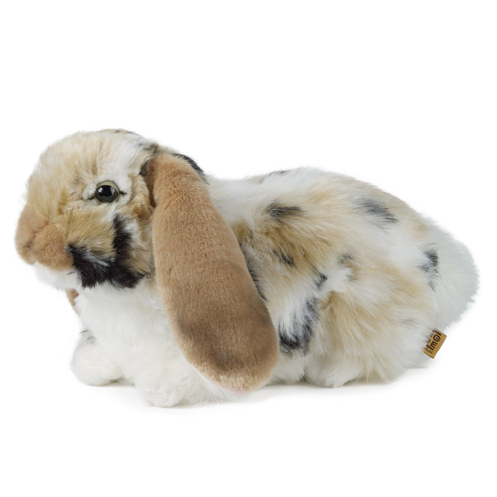LIVING NATURE British Wildlife Realistic Dutch Lop Ear Rabbit - TOYBOX Toy Shop
