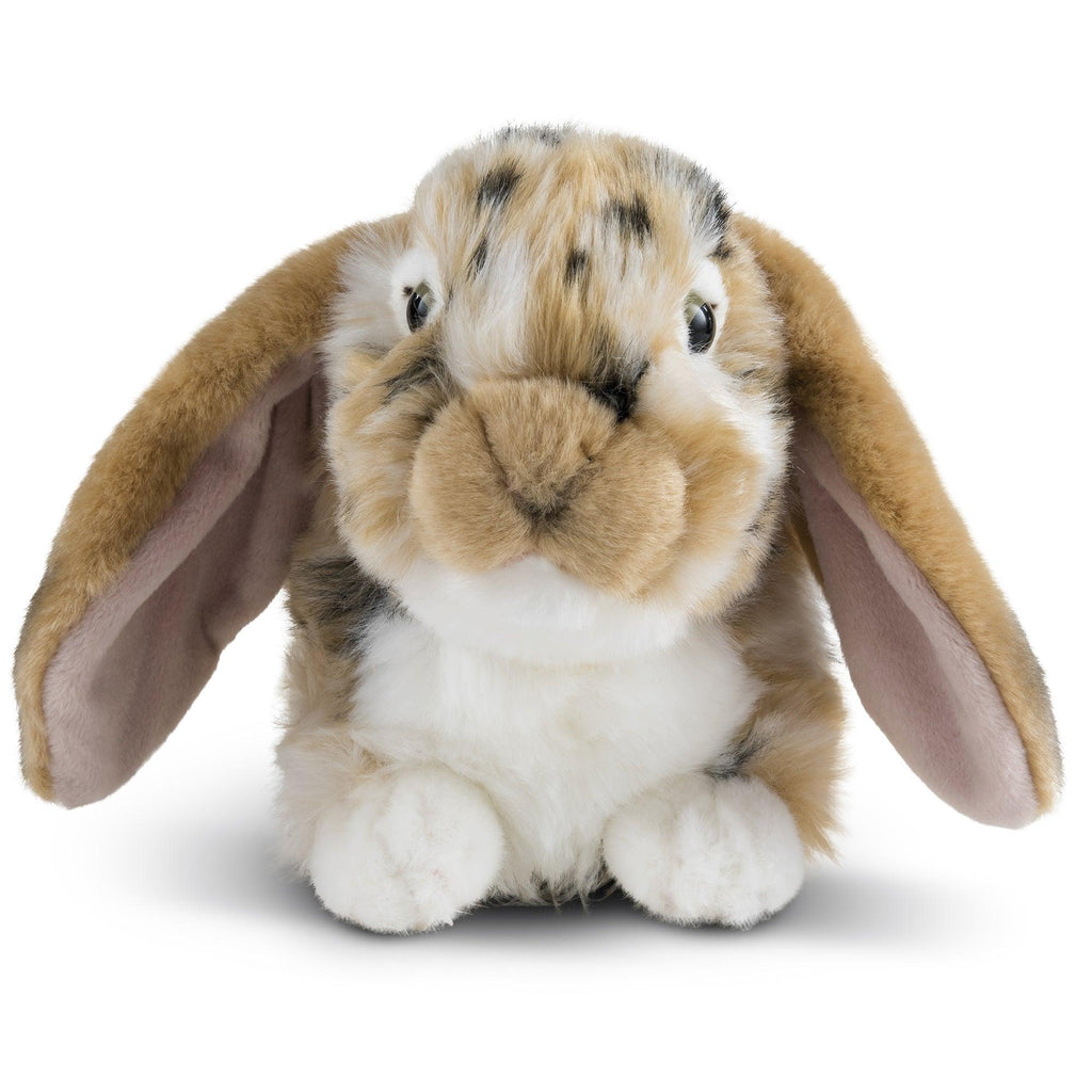 LIVING NATURE British Wildlife Realistic Dutch Lop Ear Rabbit - TOYBOX Toy Shop