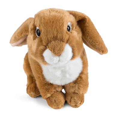 LIVING NATURE Light Brown French Lop-Eared Rabbit 22cm Plush - TOYBOX Toy Shop
