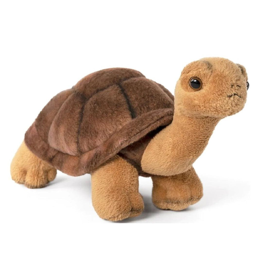 LIVING NATURE Tortoise Soft Toy 23cm - TOYBOX Toy Shop