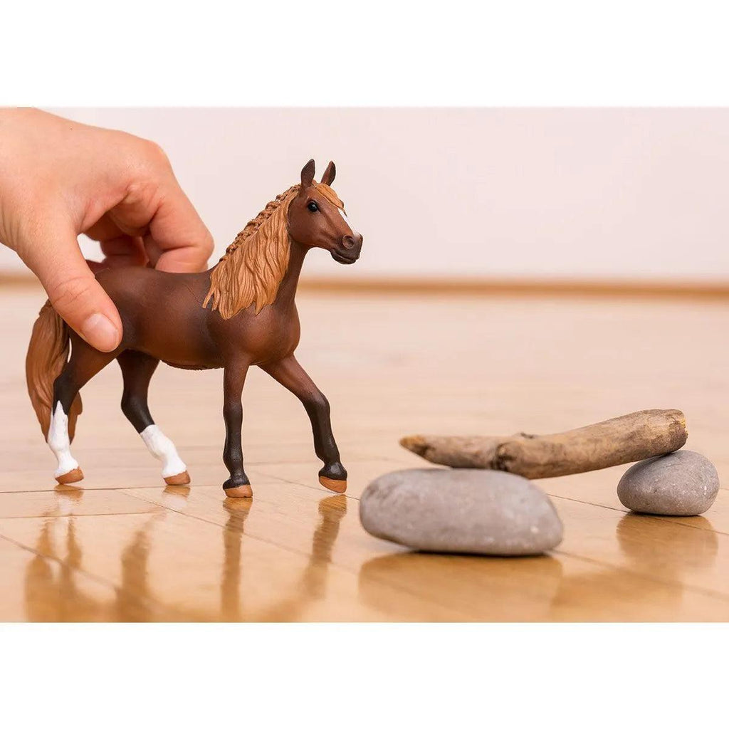 SCHLEICH 13953 Peruvian Paso Mare Figure - TOYBOX Toy Shop