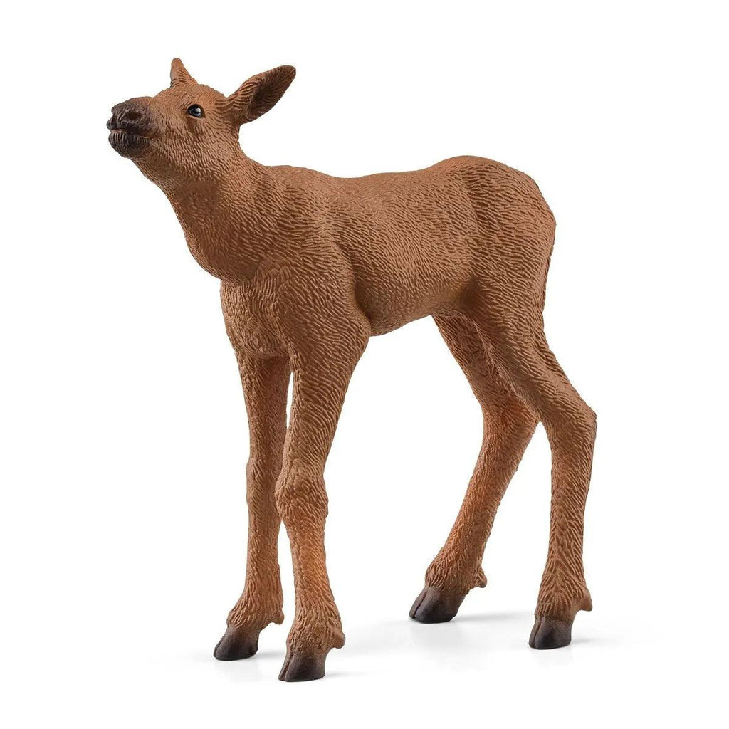 SCHLEICH 42603 National Geographic Kids Moose Calf - TOYBOX Toy Shop