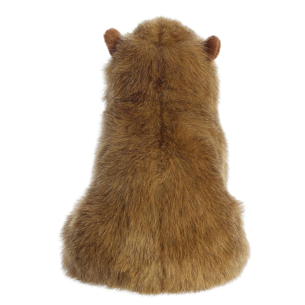 AURORA 26385 Miyoni - 23cm Capybara Plush - TOYBOX Toy Shop