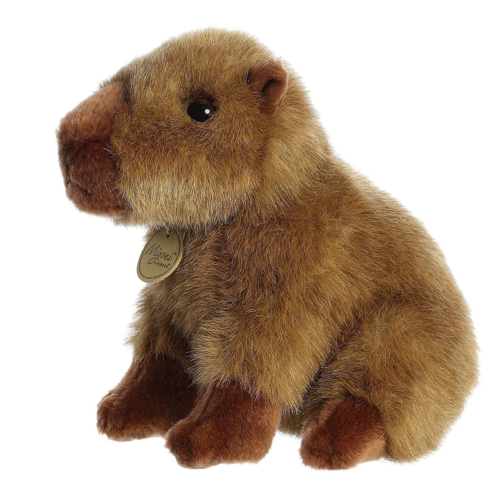 AURORA 26385 Miyoni - 23cm Capybara Plush - TOYBOX Toy Shop