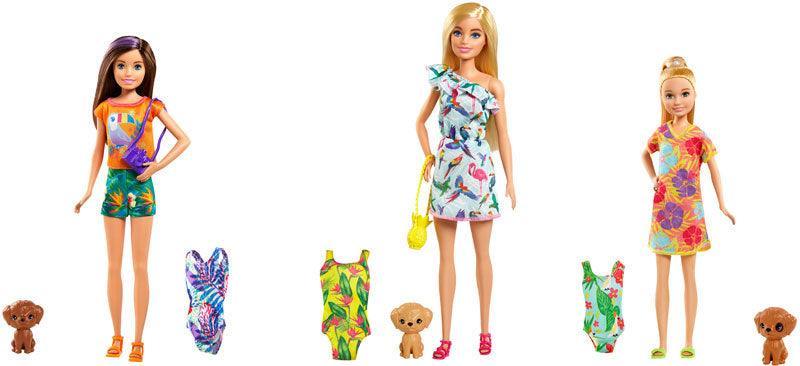 Barbie Birthday Surprise Sister & Pet Accessories Assortment - TOYBOX Toy Shop