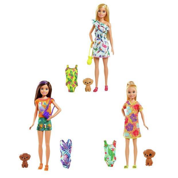 Barbie Birthday Surprise Sister & Pet Accessories Assortment - TOYBOX Toy Shop