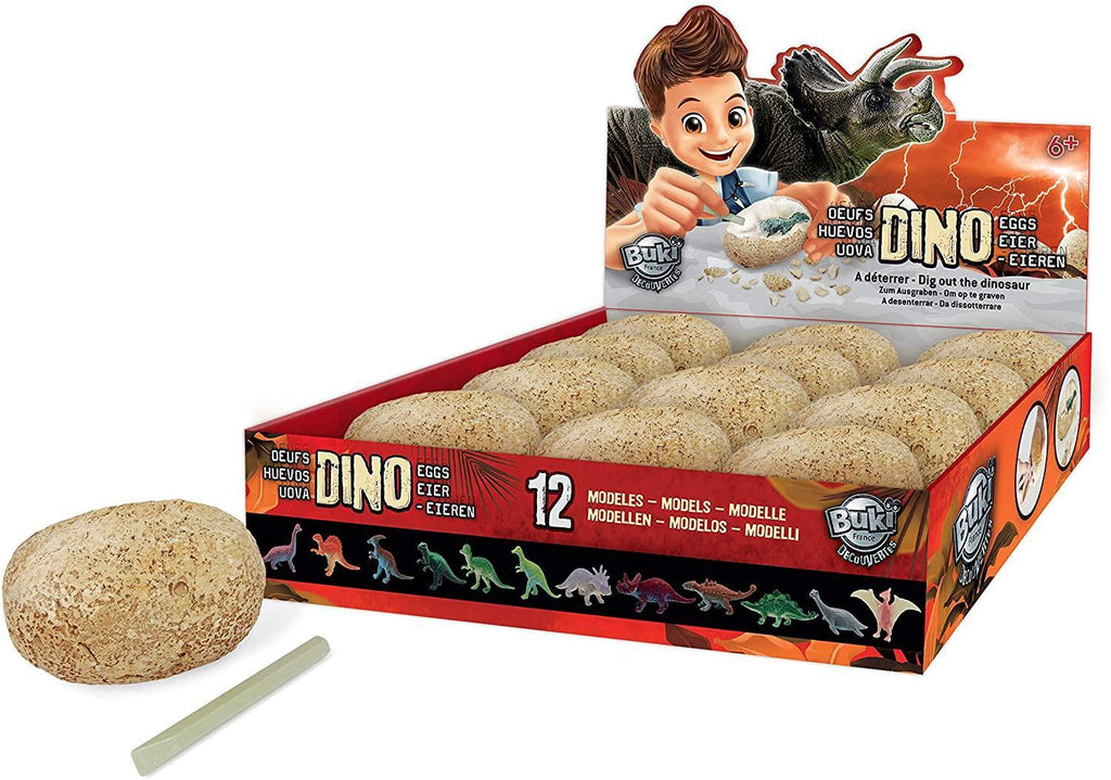 BUKI France D60 - Dino Egg - TOYBOX Toy Shop