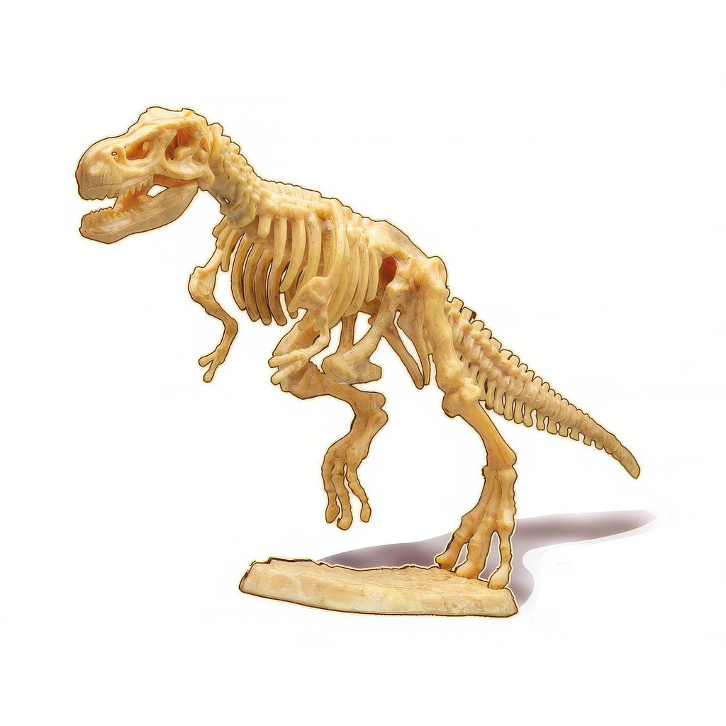 BUKI France Dino Dig T-Rex Skeleton Building Kit - TOYBOX Toy Shop