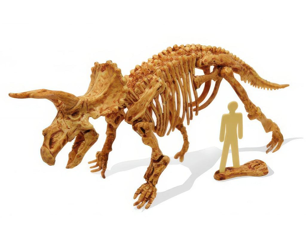 BUKI France Dino Kit Triceratops Dinosaur Fossil Digging Set - TOYBOX Toy Shop