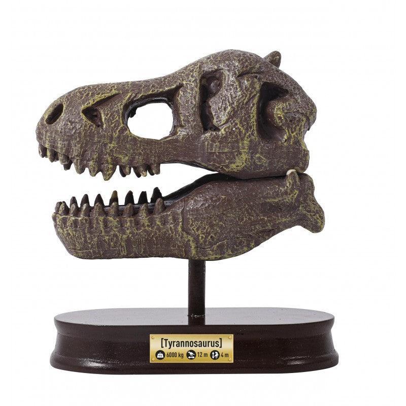 BUKI France Dinosaur Skull - Tyrannosaurus Rex - TOYBOX Toy Shop