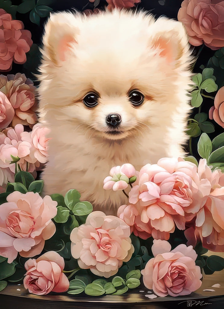 Castorland Puzzle Pomeranian Puppy in Roses (300 pcs) - TOYBOX Toy Shop