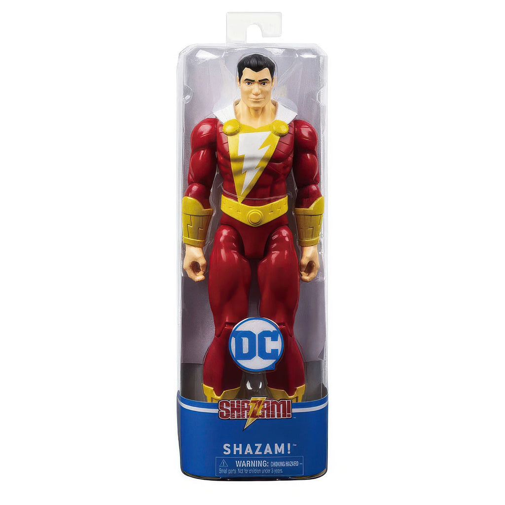 DC Universe Action Figures 30 cm - Assorted - TOYBOX Toy Shop