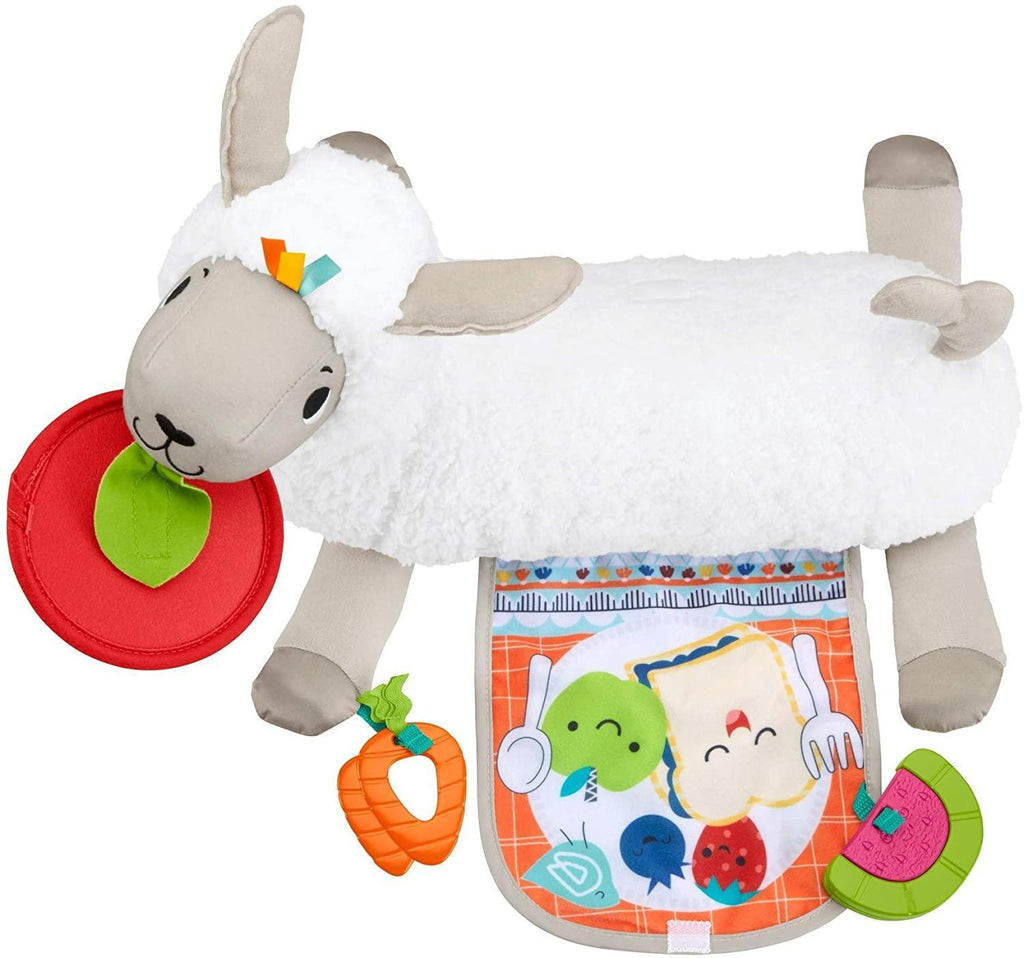 Fisher Price GHJ03 Tummy Time Llama - TOYBOX Toy Shop