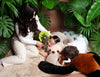 Histoire d'Ours XXL Podcoll Sloth Plush 100cm