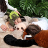 Histoire d'Ours XXL Podcoll Sloth Plush 100cm
