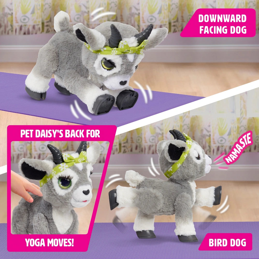 FurReal Daisy the Yoga Goat Interactive Toy - TOYBOX Toy Shop