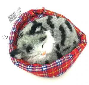 Keycraft Kittens In Baskets/Cushions - Assortment - TOYBOX Toy Shop