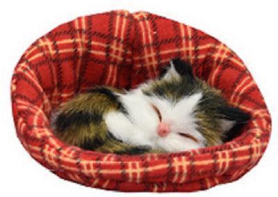 Keycraft Kittens In Baskets/Cushions - Assortment - TOYBOX Toy Shop