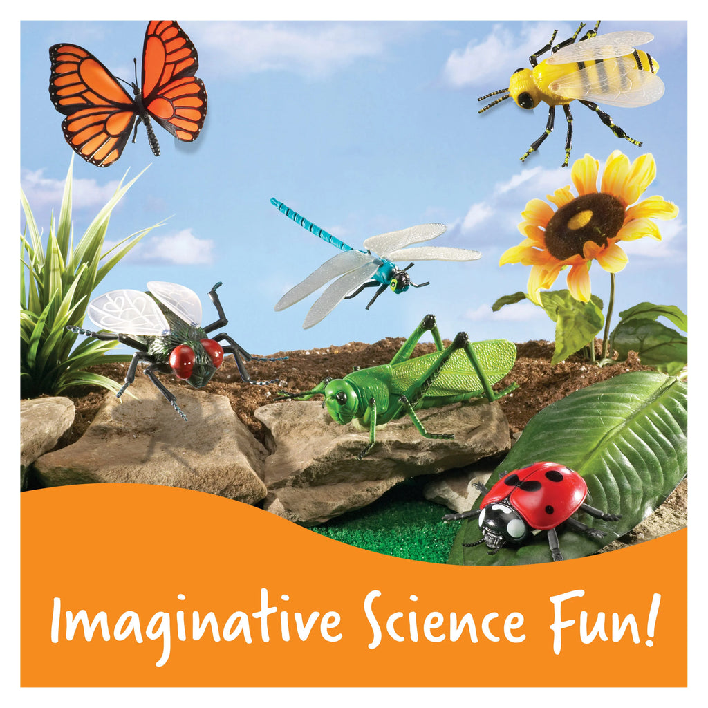 Learning Resources Jumbo Insects - TOYBOX Toy Shop