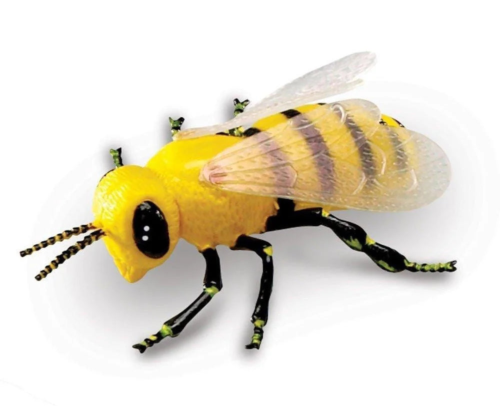 Learning Resources Jumbo Insects - TOYBOX Toy Shop