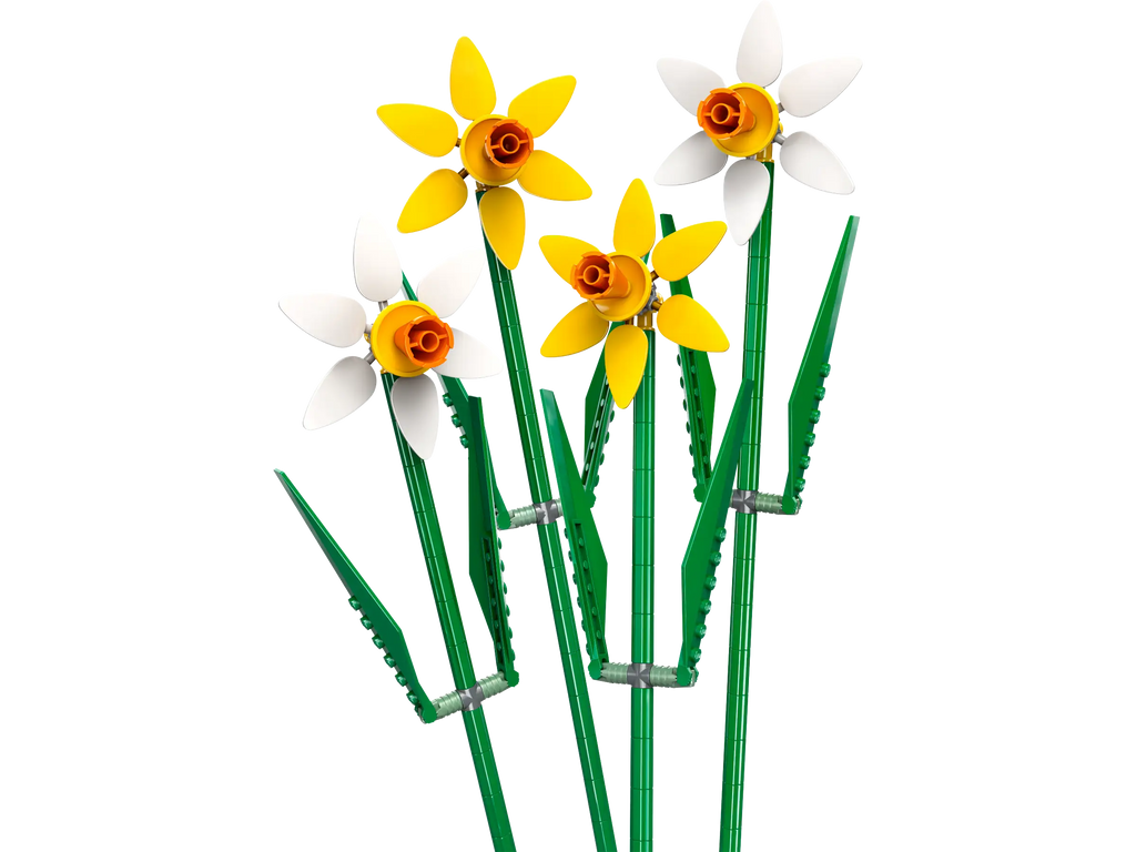 LEGO 40747 Daffodils - TOYBOX Toy Shop