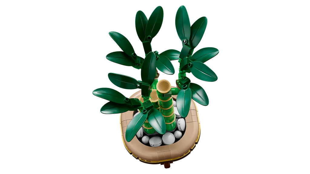 LEGO BOTANICALS 10344 Lucky Bamboo - TOYBOX Toy Shop