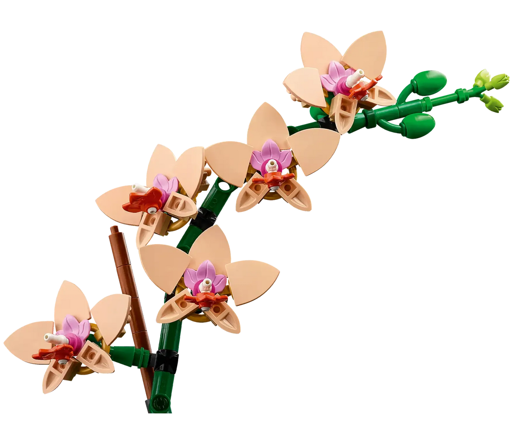 LEGO BOTANICALS 10343 Icons Botanical Mini Orchid - TOYBOX Toy Shop