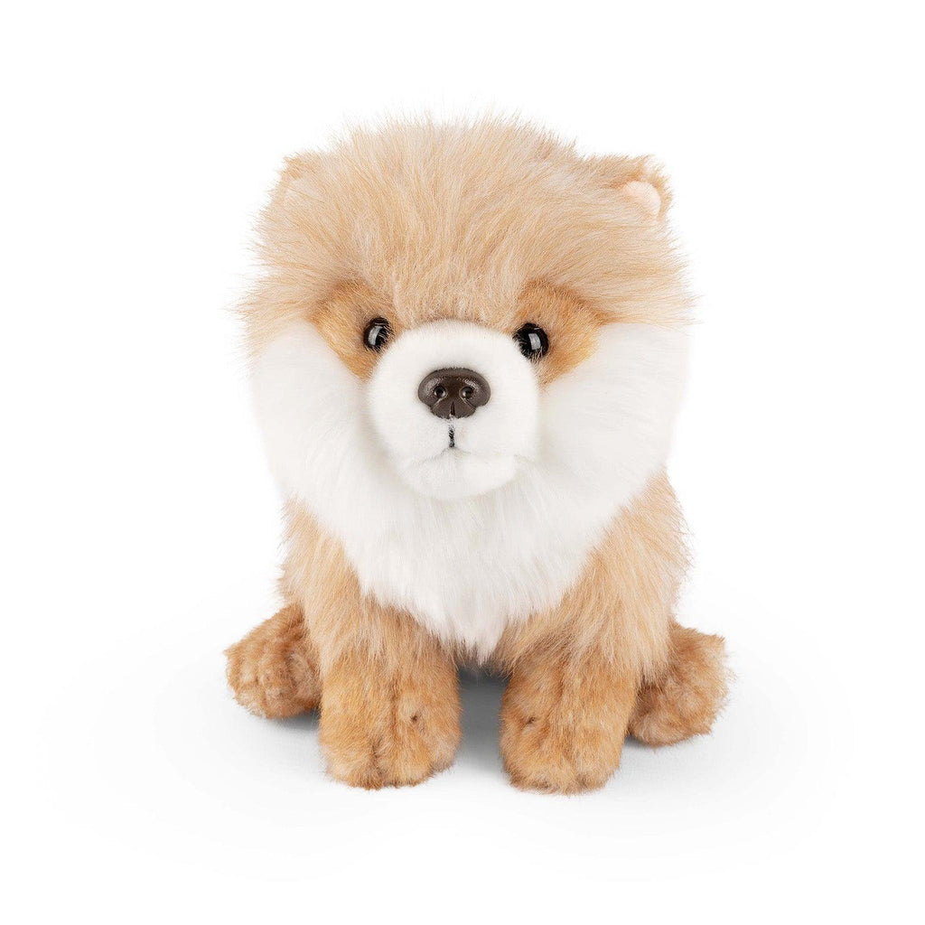 LIVING NATURE 19cm Sitting Pomeranian Plush - TOYBOX Toy Shop