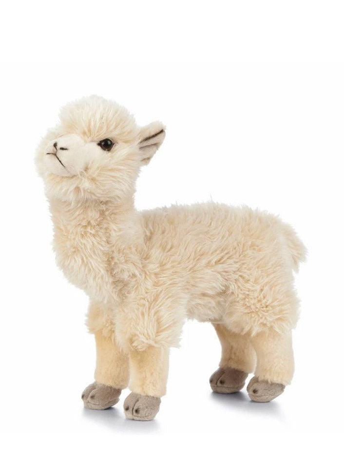 LIVING NATURE Alpaca 24cm Plush - TOYBOX Toy Shop