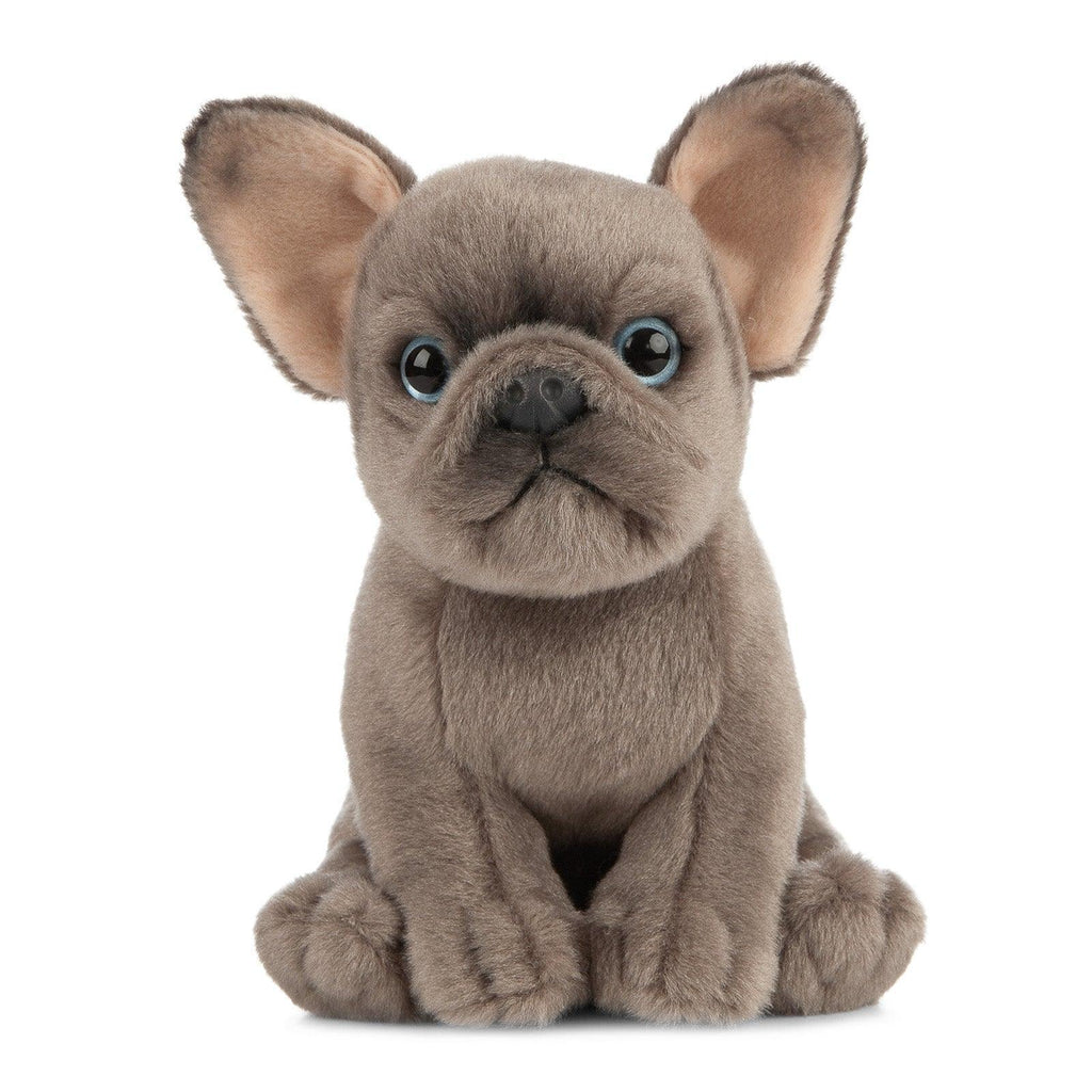 LIVING NATURE AN437 Pets French Bulldog Puppy 16cm Soft Toy - TOYBOX Toy Shop