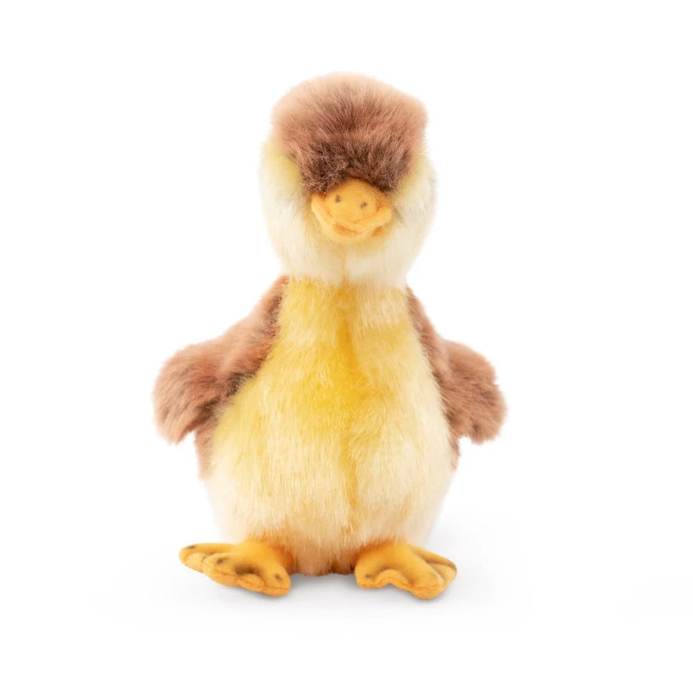 Living Nature Mallard Duckling Soft Toy - TOYBOX Toy Shop