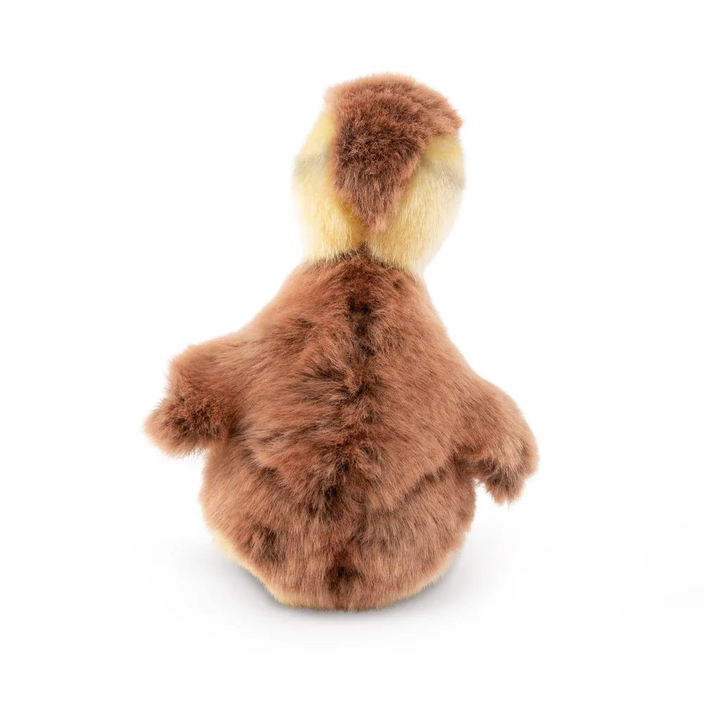 Living Nature Mallard Duckling Soft Toy - TOYBOX Toy Shop