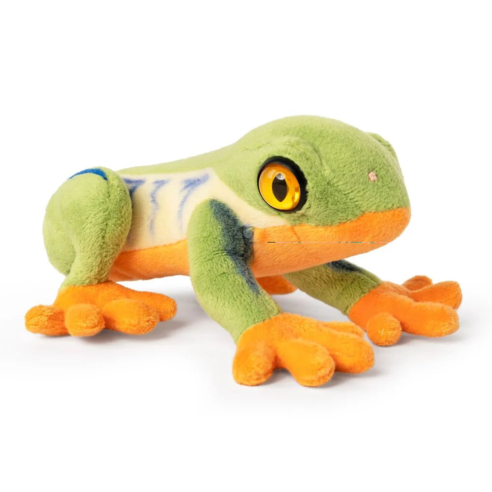 Living Nature Red Eyed Tree Frog Soft Toy - TOYBOX Toy Shop