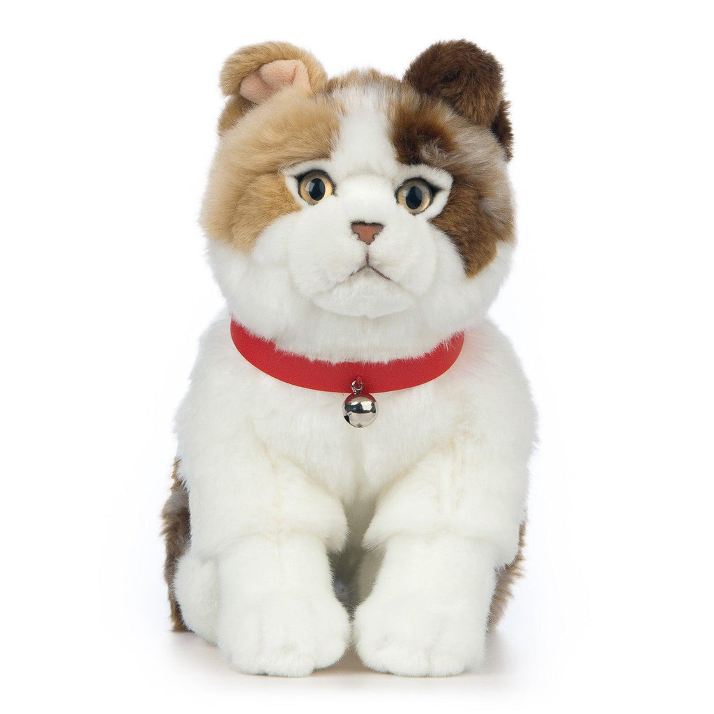 LIVING NATURE Scottish Fold Cat 22cm Plush - TOYBOX Toy Shop