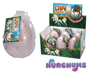 NURCHUMS Large Dino Hatching Egg - TOYBOX Toy Shop