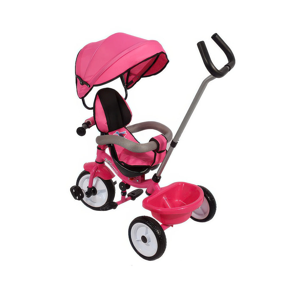 Pink Colibrino Tricycle - TOYBOX Toy Shop