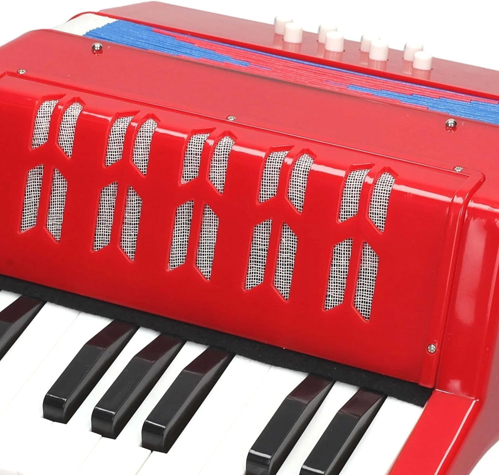 REIG Accordion Musical Instrument - TOYBOX Toy Shop