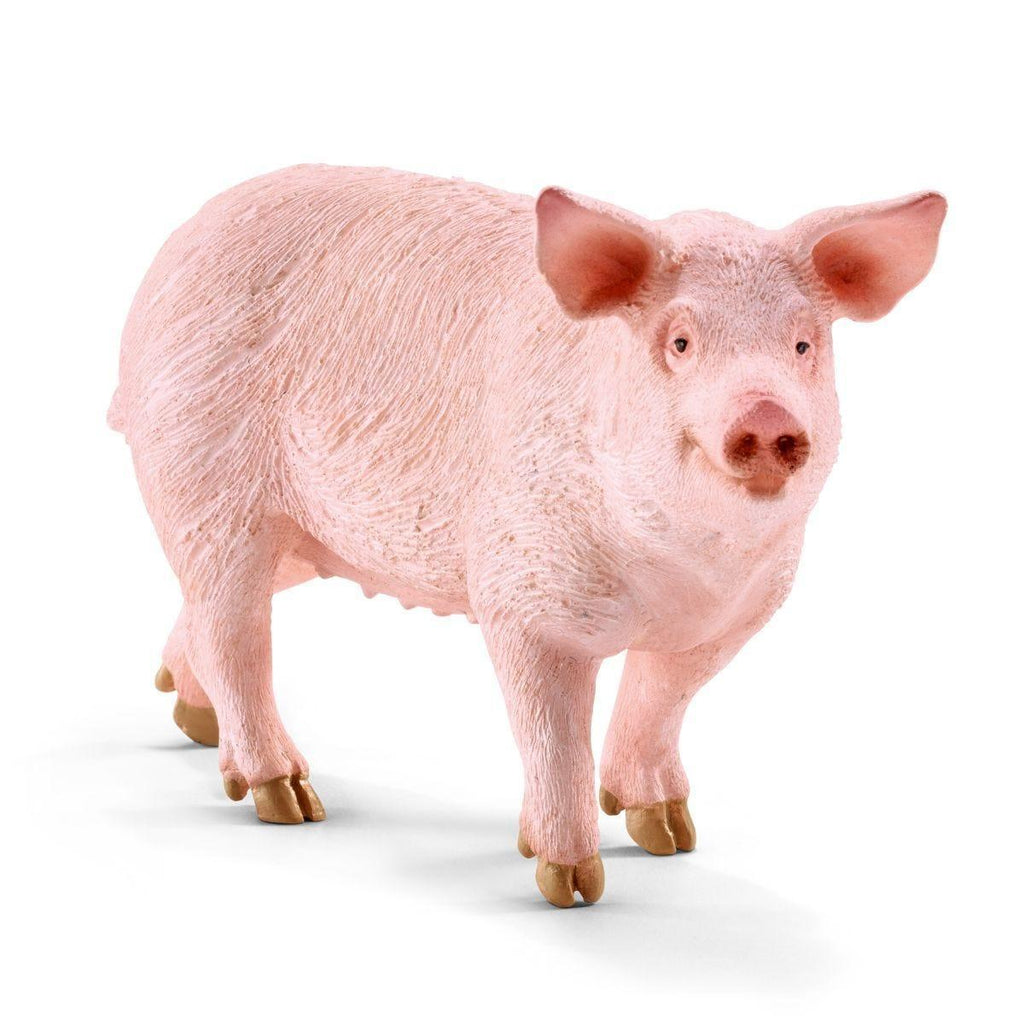 SCHLEICH 13782 Pig Figure - TOYBOX Toy Shop