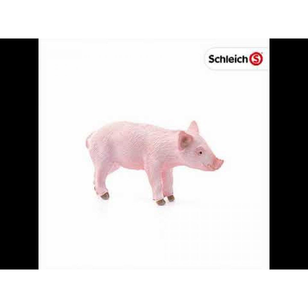 SCHLEICH 17062 Piglet Standing Figure - TOYBOX Toy Shop