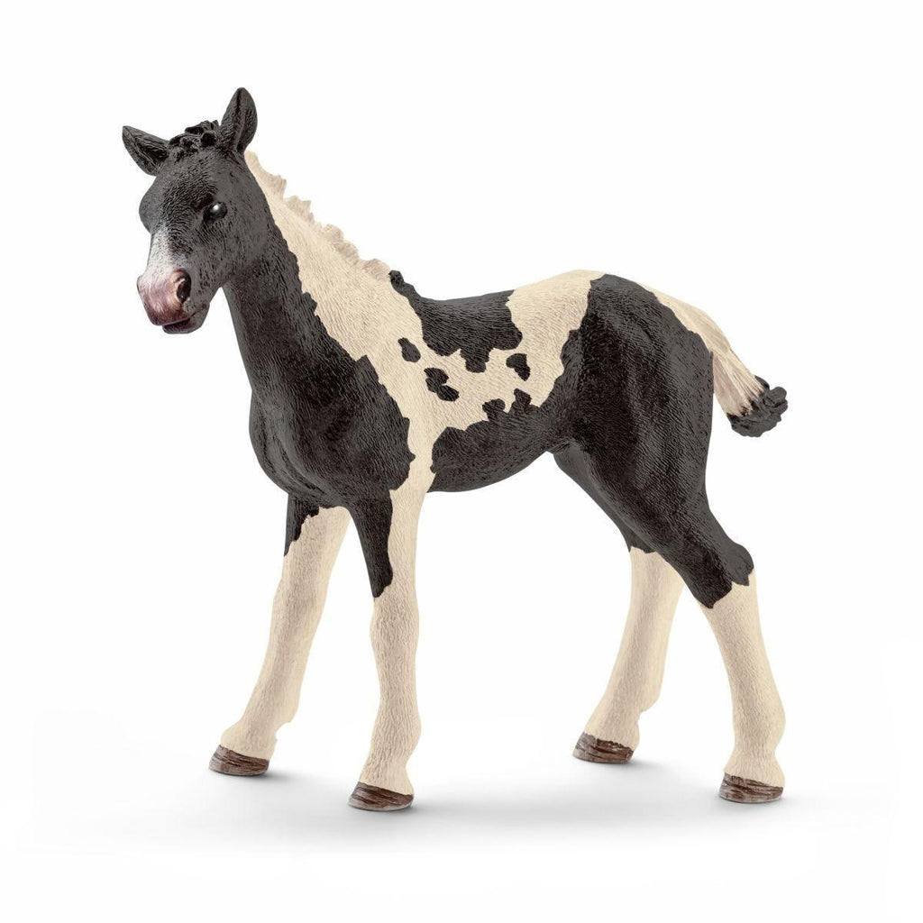 SCHLEICH 13803 Pinto Foal Figure - TOYBOX Toy Shop