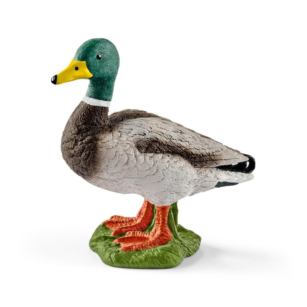 SCHLEICH 13824 Drake Male Duck Figure - TOYBOX Toy Shop