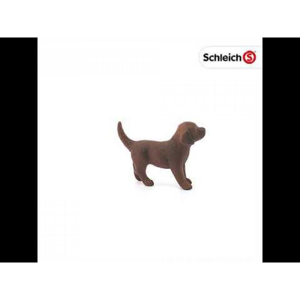 SCHLEICH 13835 Labrador Retriever Puppy Figure - TOYBOX Toy Shop