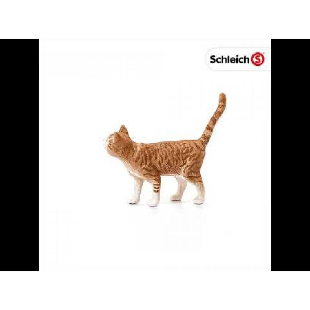 SCHLEICH 13836 Cat Figure - TOYBOX Toy Shop